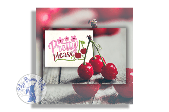 Pretty Please: A Designer’s Review for Craft Fairs